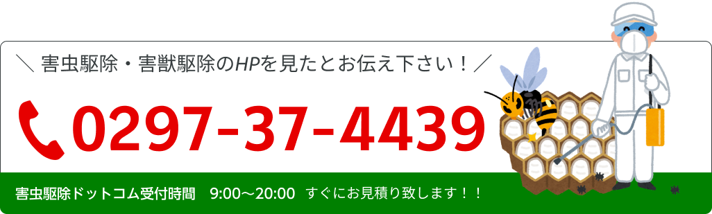 ŊQEQb쏜͂C
